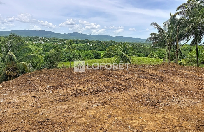 Vente Terrain 