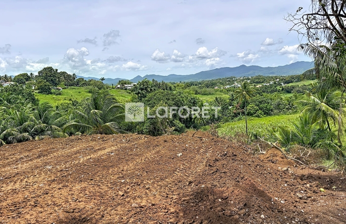 Vente Terrain 1000m&sup2; Baie Mahault
