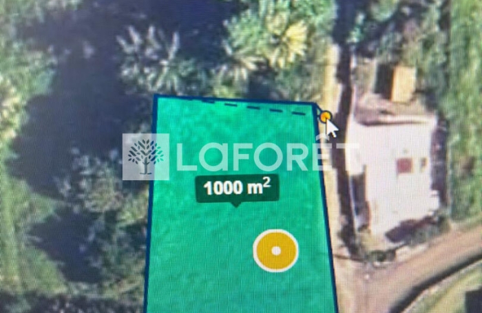Vente Terrain 1000m&sup2; Baie Mahault
