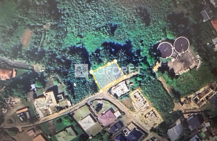 Vente Terrain 1000m&sup2; Baie Mahault