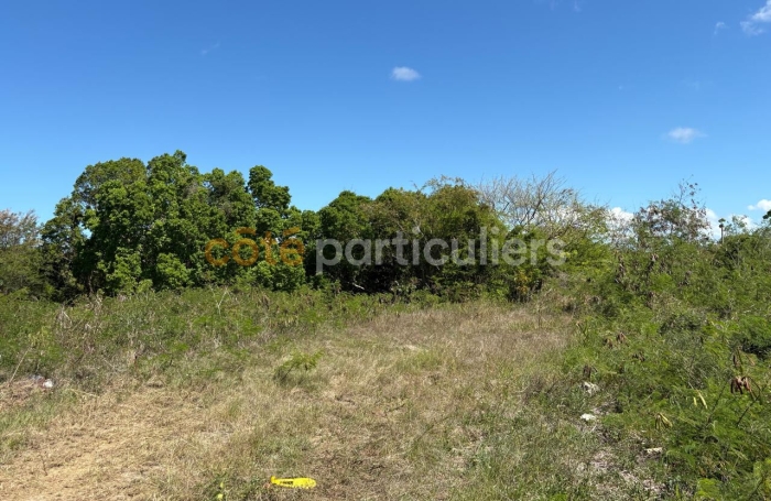 Vente Terrain 1088m&sup2; Anse-Bertrand