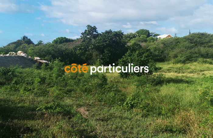Vente Terrain 