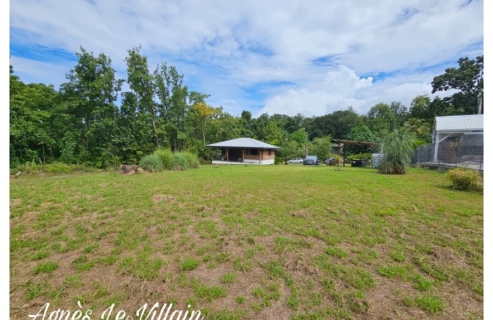 Vente Terrain 1043m&sup2; Deshaies