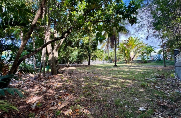 Location Terrain 97118