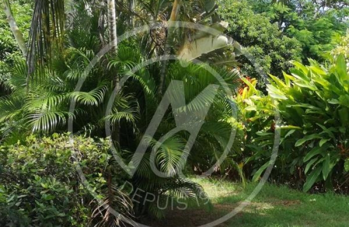 Location Maison 148m&sup2; 5 pièces Baie Mahault