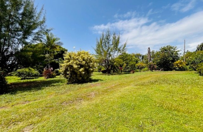 Location Maison 135m&sup2; 4 pièces Capesterre Belle Eau