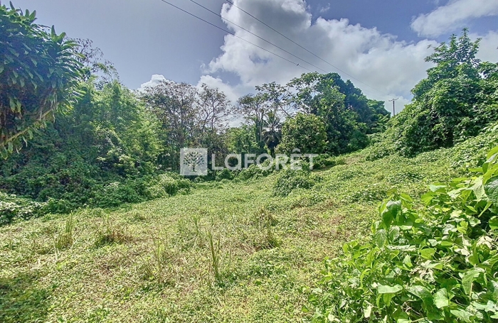 Vente Terrain 