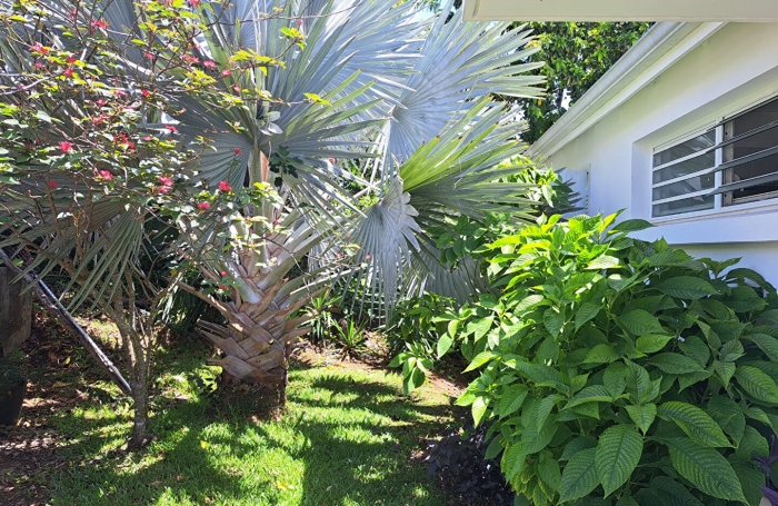 Location Maison 141.49m&sup2; 4 pi&egrave;ces Goyave