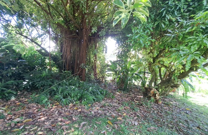 Location Maison 141.49m&sup2; 4 pi&egrave;ces Goyave