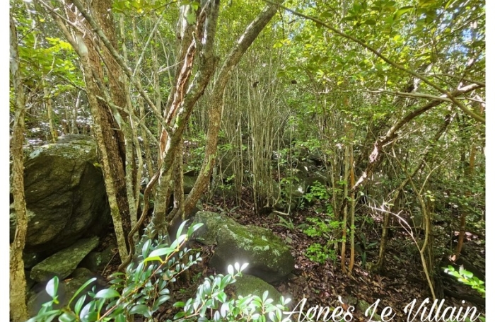 Vente Terrain 2382m&sup2; Bouillante