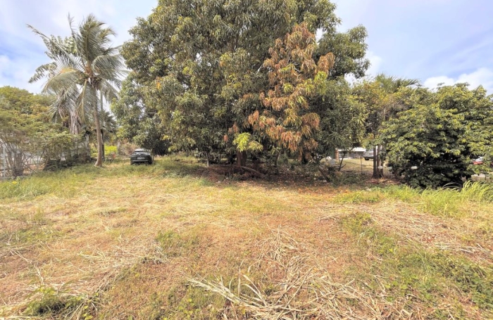 Vente Maison 64.5m&sup2; 4 pièces Saint Fran&ccedil;ois
