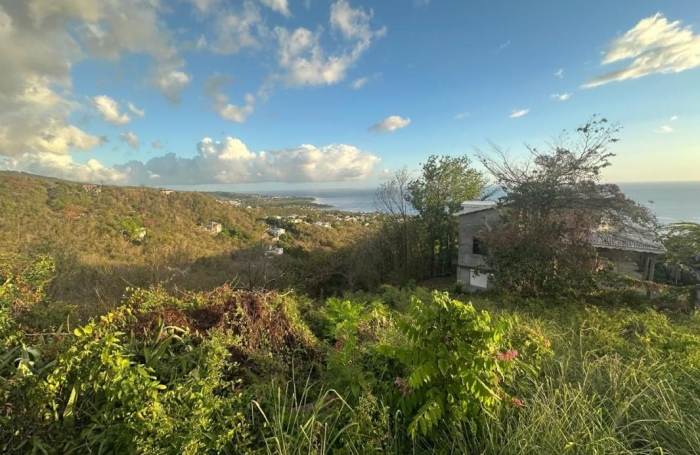 Vente Terrain 97125
