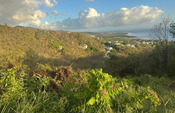 Vente Terrain 800m&sup2; Bouillante