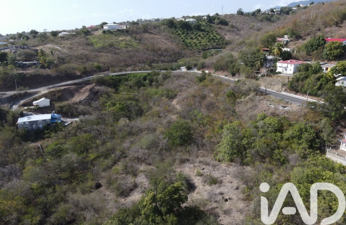Vente Terrain 629m&sup2; Vieux Habitants