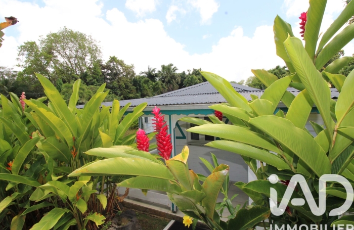 Vente Maison 32m&sup2; 2 pièces Petit-Bourg