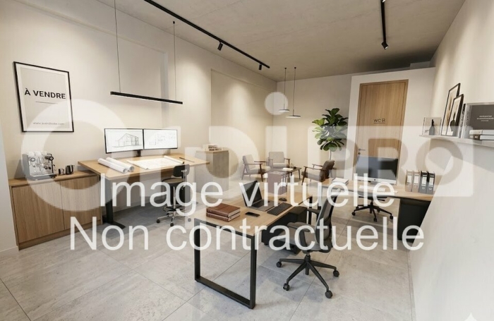 Local Commercial - Professionnel &Agrave; Vendre