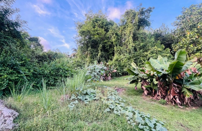 Vente Terrain 97139