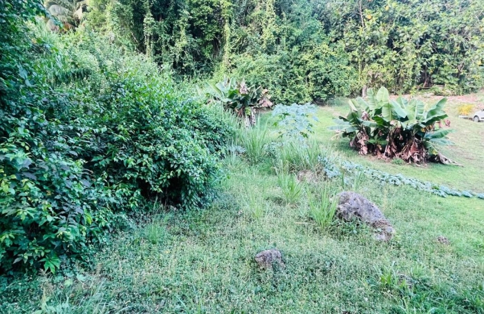 Vente Terrain 1200m&sup2; Les Abymes