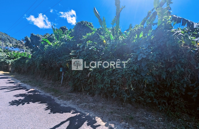 Vente Terrain 5300m&sup2; Gourbeyre
