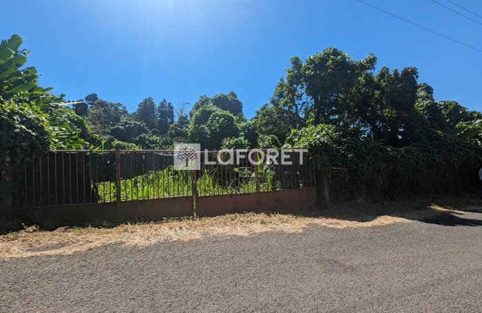 Vente Terrain 5300m&sup2; Gourbeyre