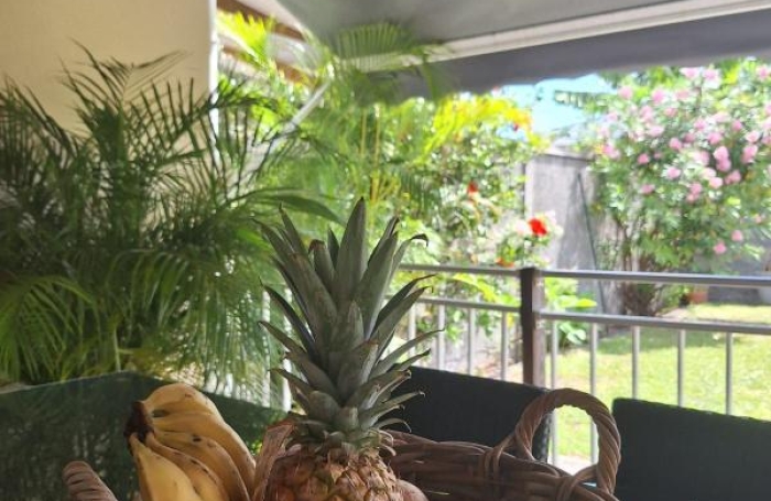 Location Maison 45m&sup2; 3 pièces Sainte Anne