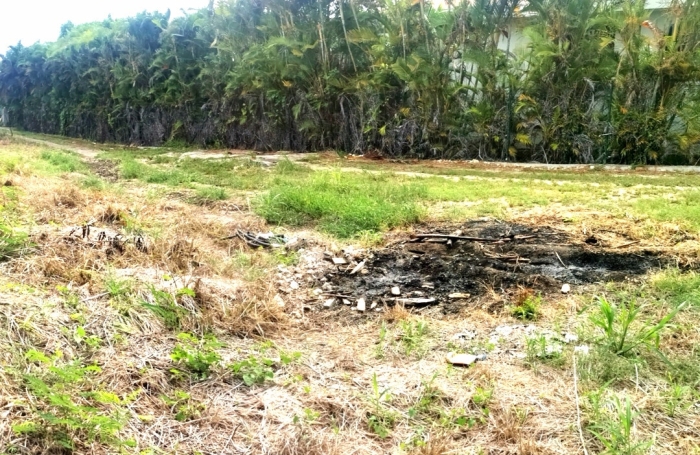 Guadeloupe Le Moule, terrain constructible de 900m2
