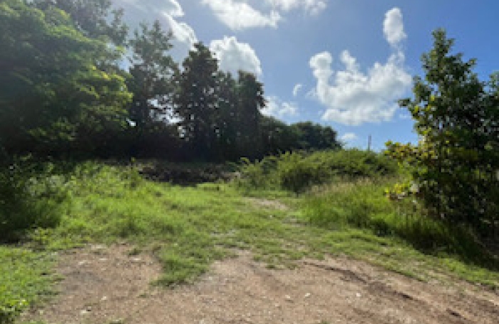 Vente Terrain 97118