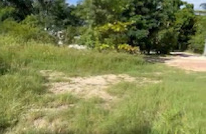GUADELOUPE  Saint-Fran&ccedil;ois terrain constructible de 1288 m2