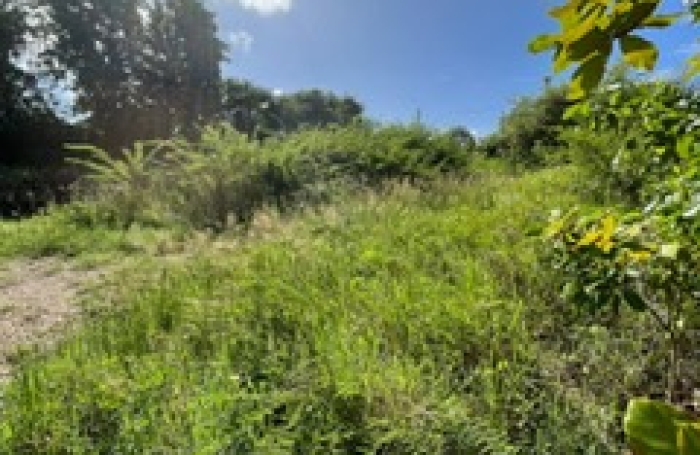 GUADELOUPE  Saint-Fran&ccedil;ois terrain constructible de 1288 m2