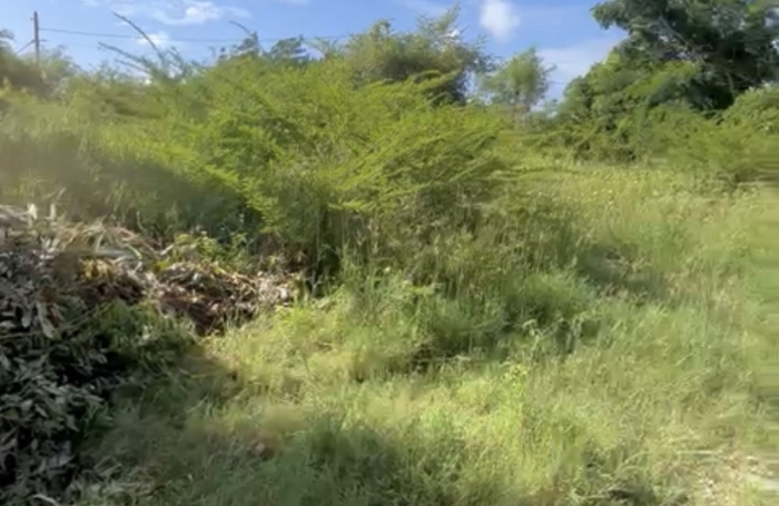 GUADELOUPE  Saint-Fran&ccedil;ois terrain constructible de 1288 m2