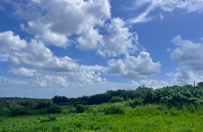 SAINTE-ANNE  Le Helleux Terrain 700 m2 constructible et viabilis&eacute;