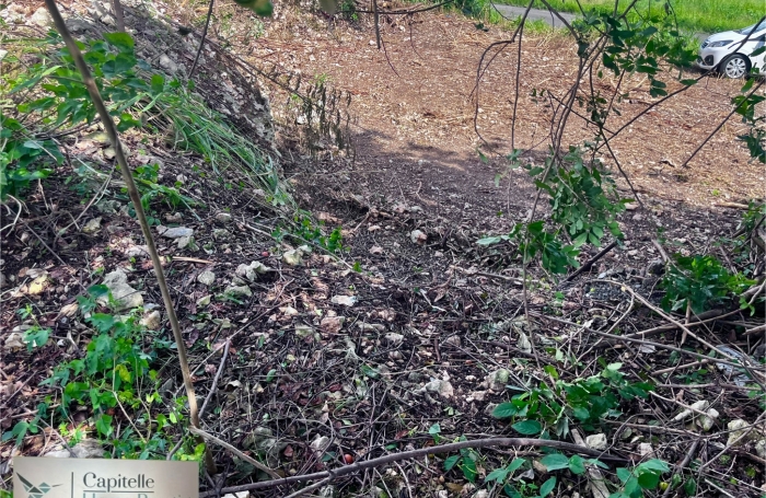 SAINTE-ANNE  Le Helleux Terrain 700 m2 constructible et viabilis&eacute;