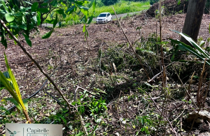 SAINTE-ANNE  Le Helleux Terrain 700 m2 constructible et viabilis&eacute;