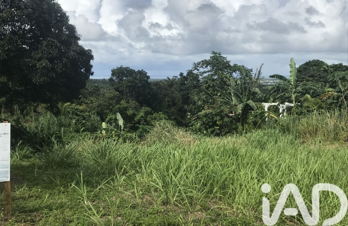 Vente Terrain 1501m&sup2; Sainte Rose
