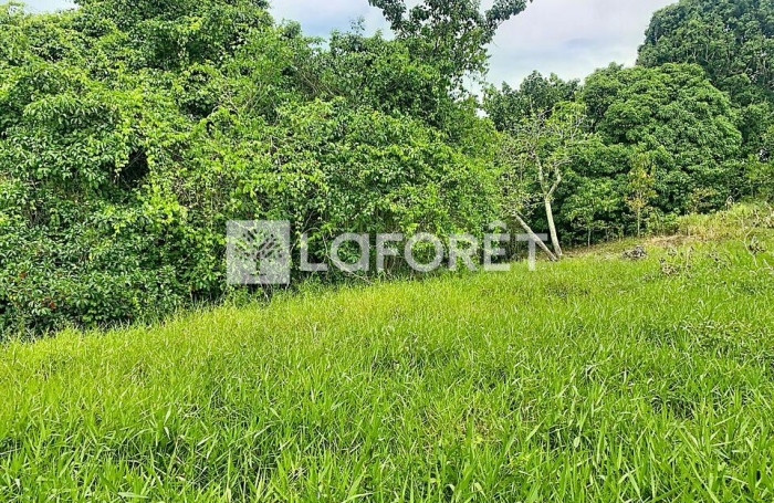 Vente Terrain 