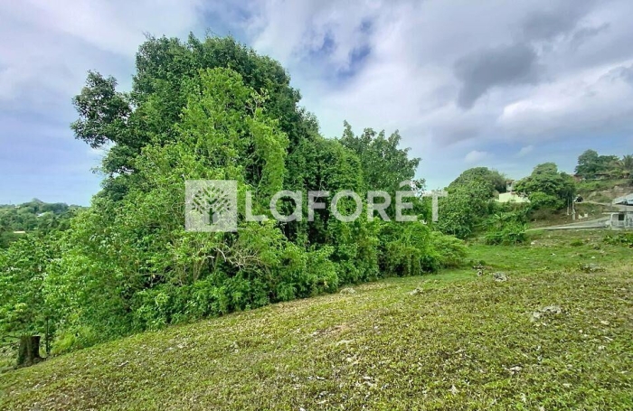 Vente Terrain 4399m&sup2; Les Abymes