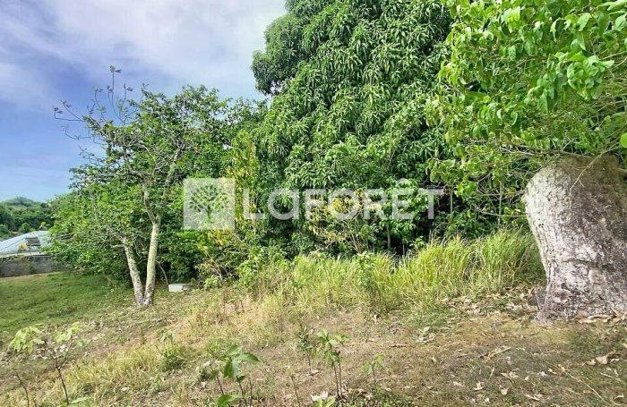 Vente Terrain 4399m&sup2; Les Abymes