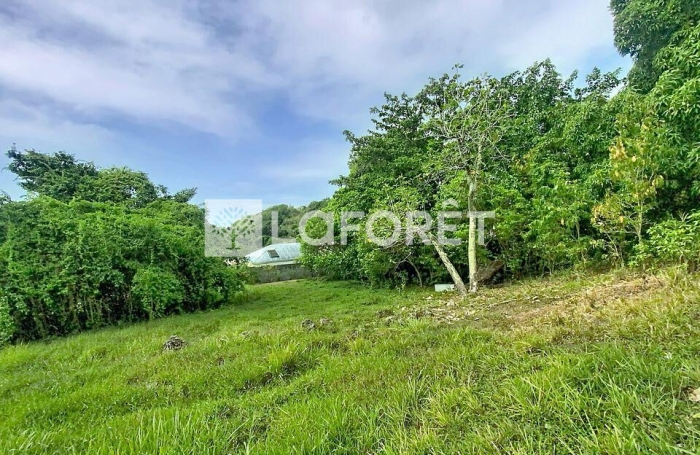 Vente Terrain 4399m&sup2; Les Abymes