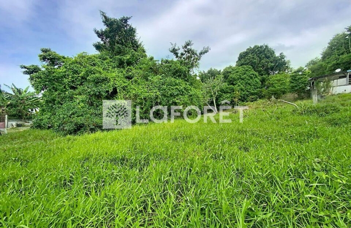 Vente Terrain 4399m&sup2; Les Abymes
