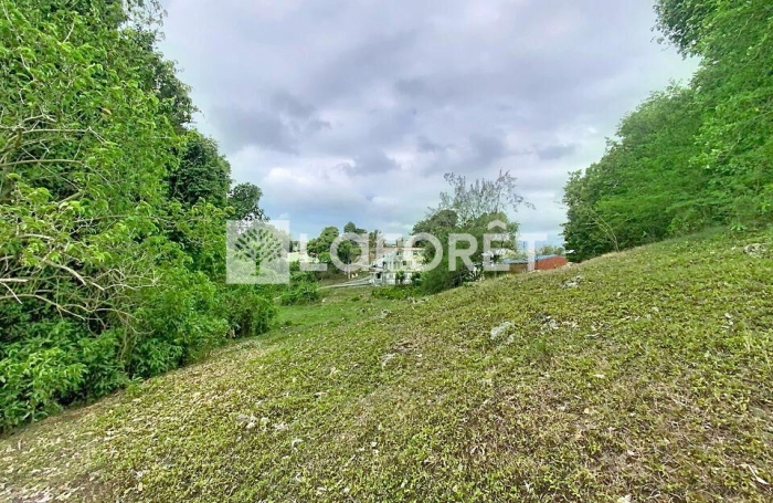 Vente Terrain 4399m&sup2; Les Abymes