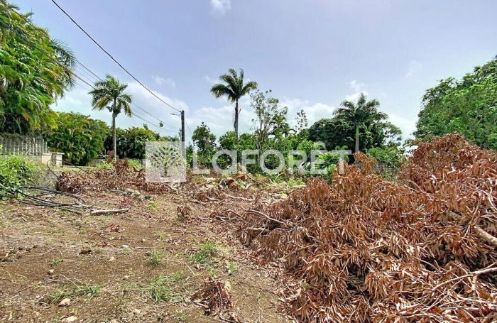 Vente Terrain 