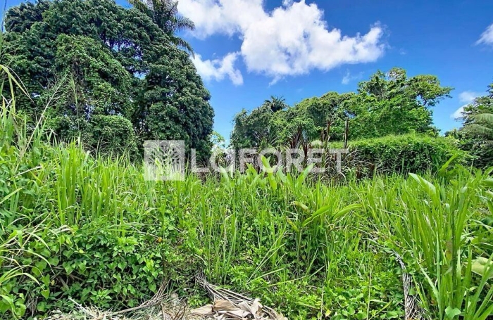 Vente Terrain 462m&sup2; Petit-Bourg