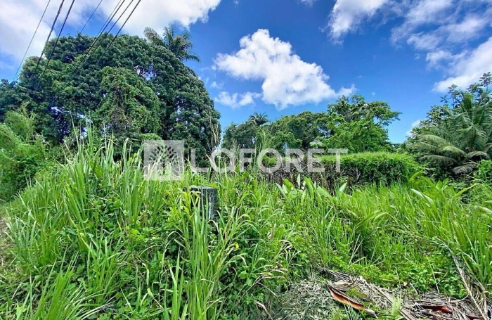 Vente Terrain 462m&sup2; Petit-Bourg