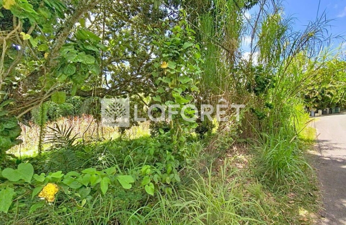Vente Terrain 462m&sup2; Petit-Bourg