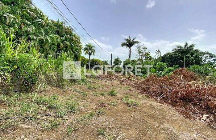 Vente Terrain 462m&sup2; Petit-Bourg