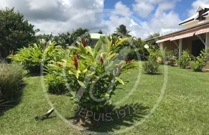 Location Maison 127.4m&sup2; 5 pièces Capesterre Belle Eau