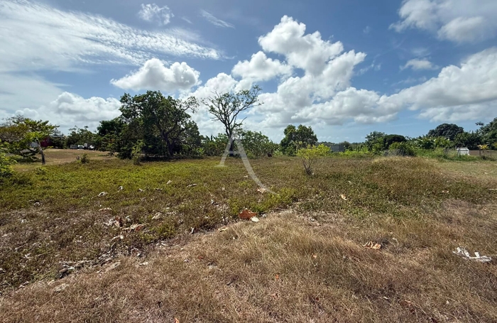 Vente Terrain 