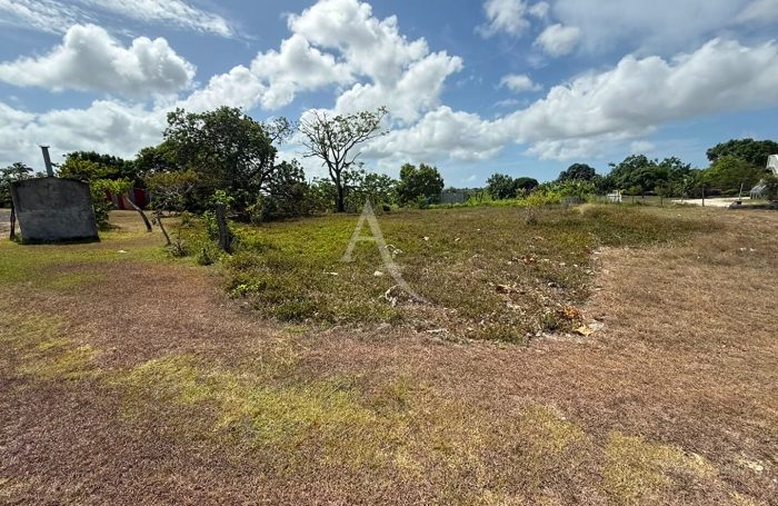 Vente Terrain 1086m&sup2; Sainte Anne