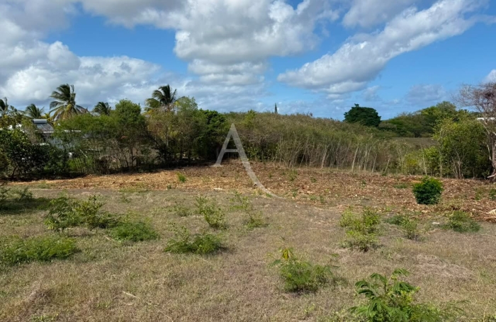 Vente Terrain 