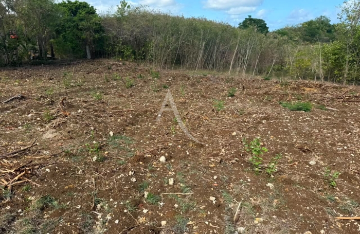 Vente Terrain 1000m&sup2; Sainte Anne